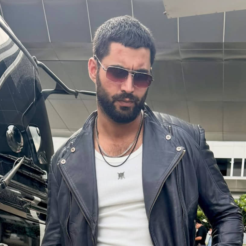 Description of the pic