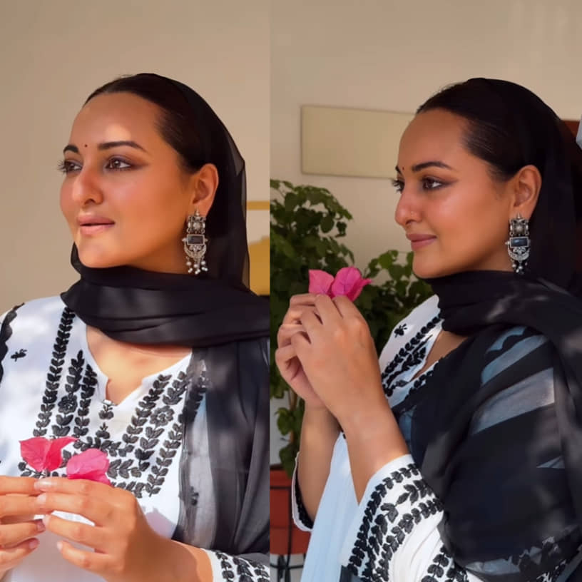 Description of the pic