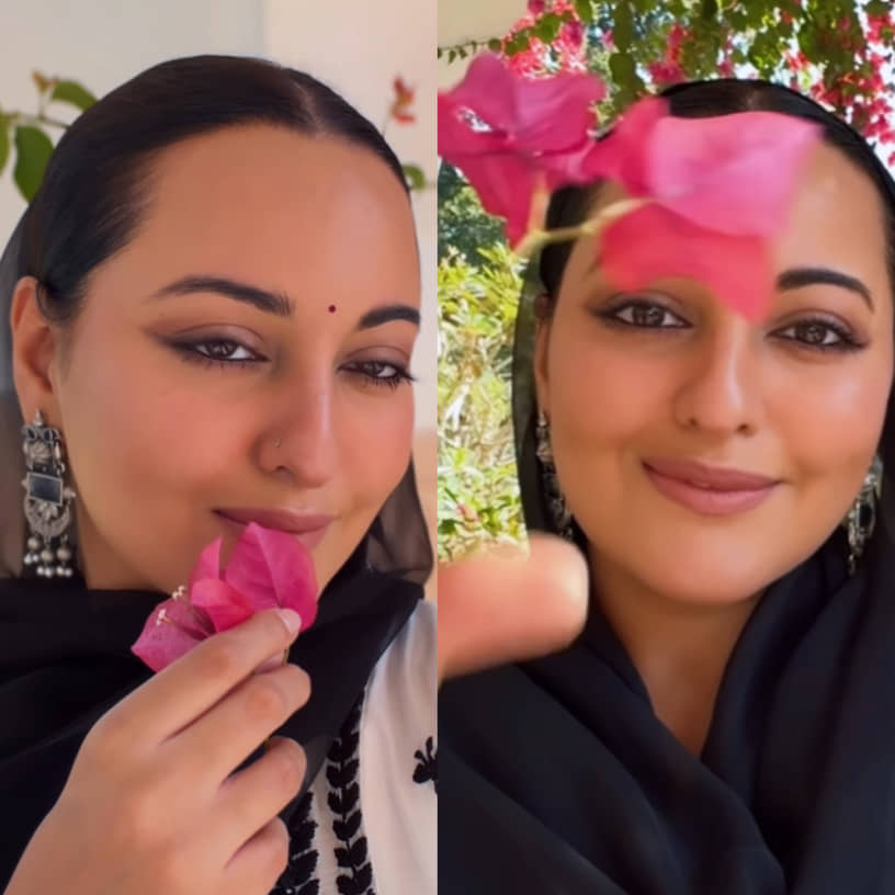 Description of the pic