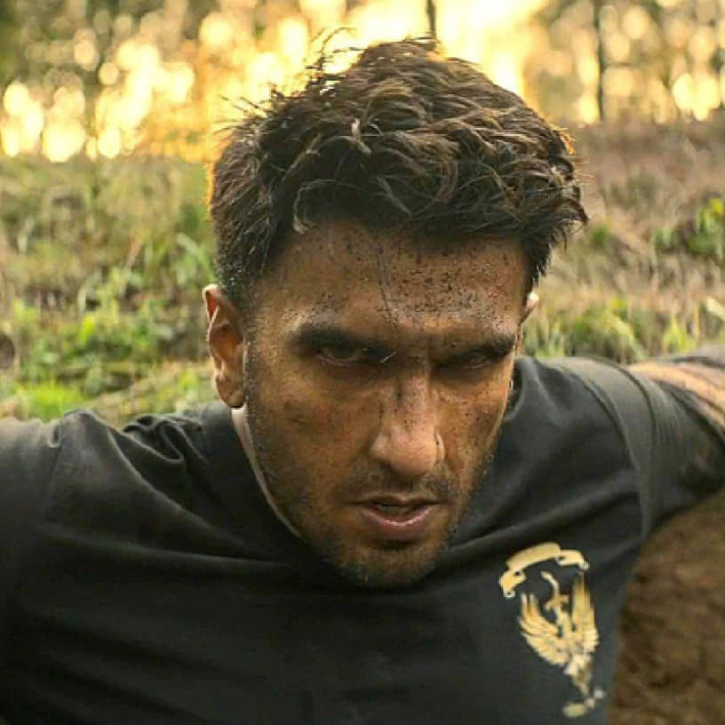 Description of the pic