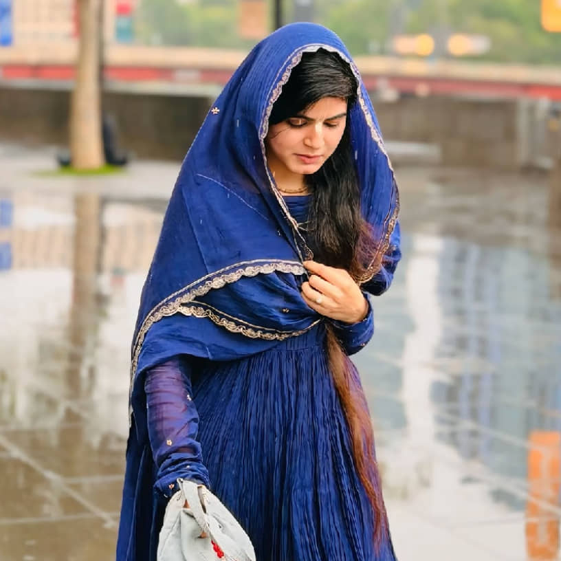 Description of the pic