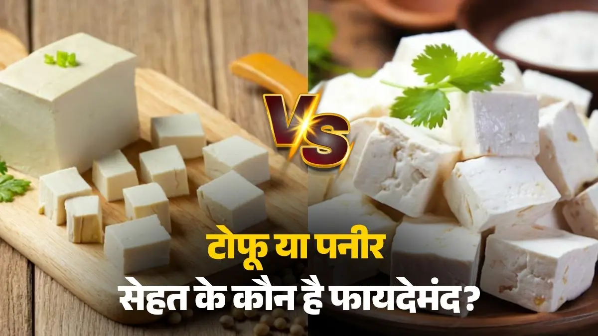 Paneer Vs Tofu: सेहत के लिए टोफू और पनीर में से कौन-सा है फायदेमंद? जानें अंतर और खाने का सही तरीका paneer vs tofu health benefits right way eating weight loss for muscles healthy diet tips