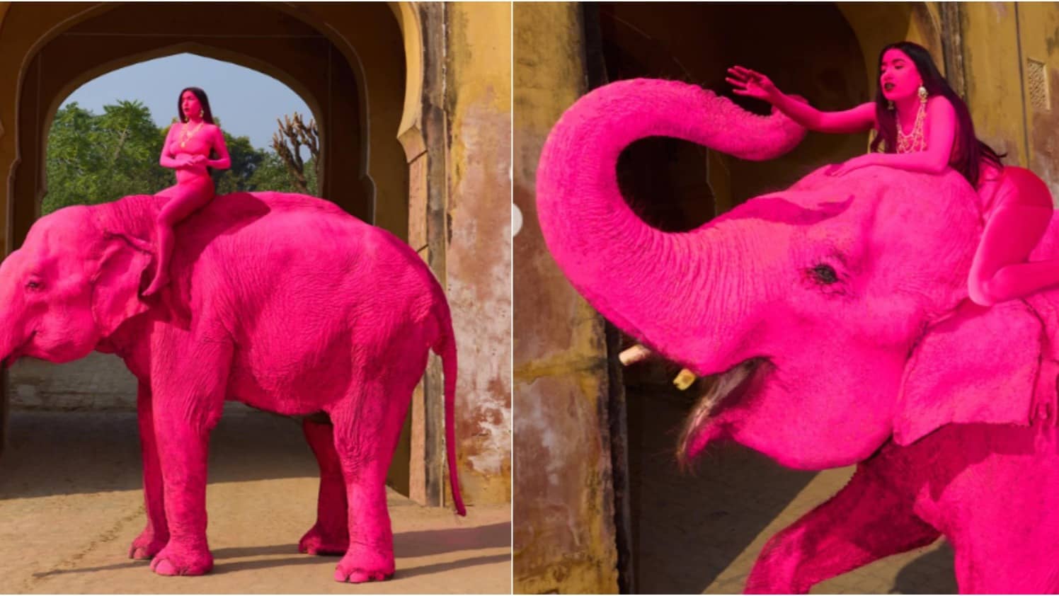 Pink Elephant: Foreign Artist Paints Animal For Jaipur Photoshoot, Faces Massive Backlash As Pics Go Viral