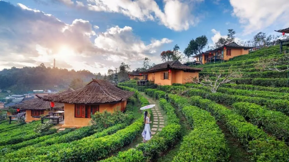 Planning A Trip To Ooty, This 127-Year-Old UNESCO World Heritage Site Must Be On Your List Plan A Trip To Ooty