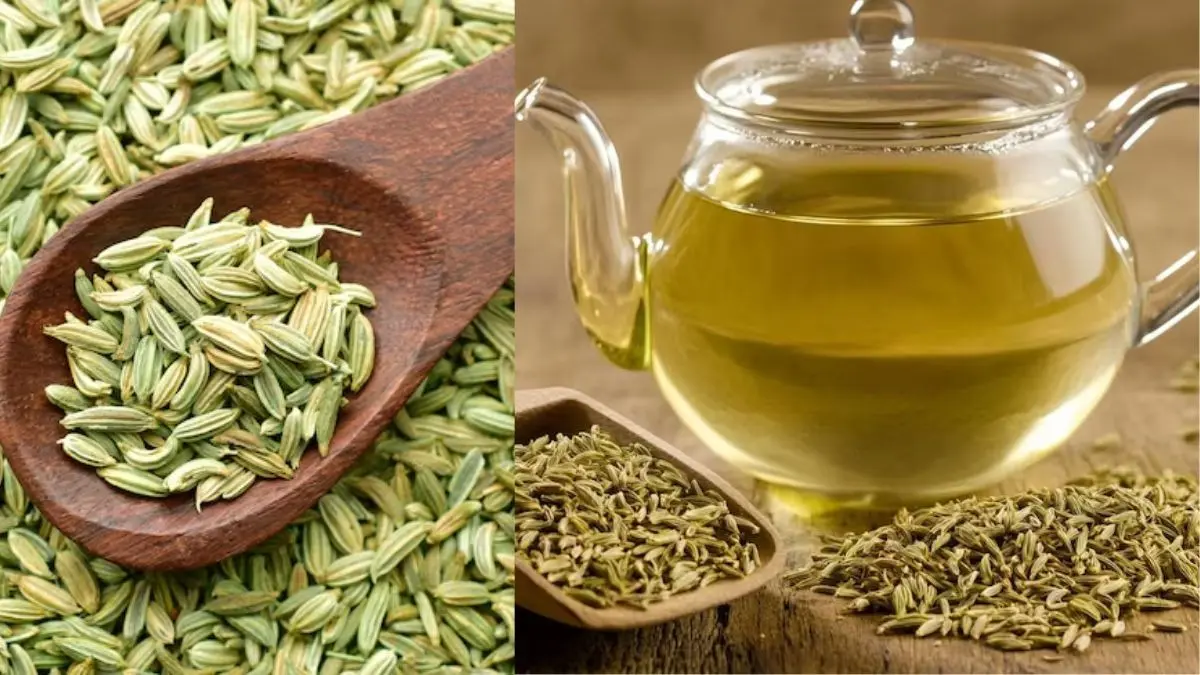 Saunf Water Benefits: सुबह खाली पेट सौंफ का पानी पीने से हो सकते हैं ये फायदे, जानें कब और कैसे लें Saunf Water Benefits