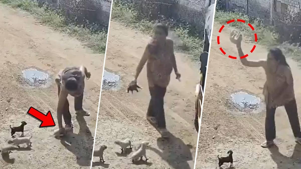 Screenshot from viral video showing a woman accused of brutally throwing a puppy against walls, sparking outrage and calls for action online.