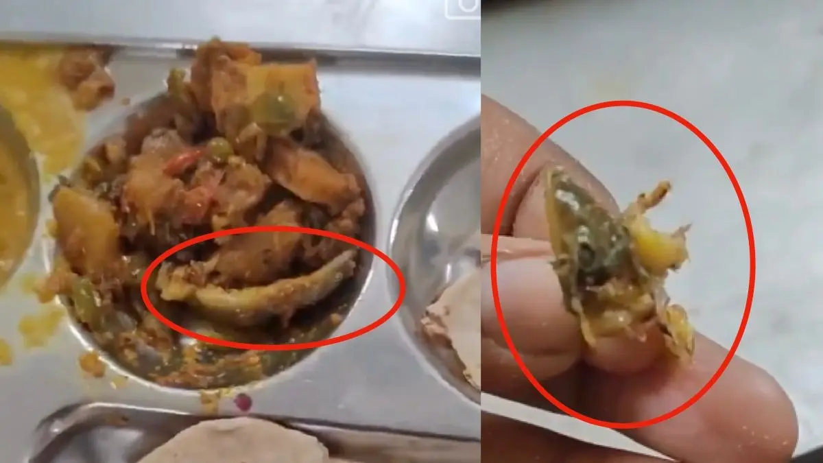 'Shimla Mirch Hai Yaar...': Chef Eats Lizard Found In University Mess Food In Bhopal | Video 'Shimla Mirch Hai Yaar...': Chef Eats Lizard Found In University Mess Food In Bhopal | Video