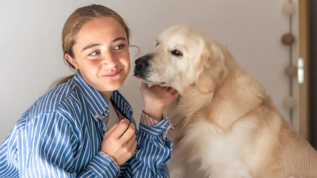 Signs That Prove Your Pet Dog Actually Likes You Signs your pet dog is closely bonded with you