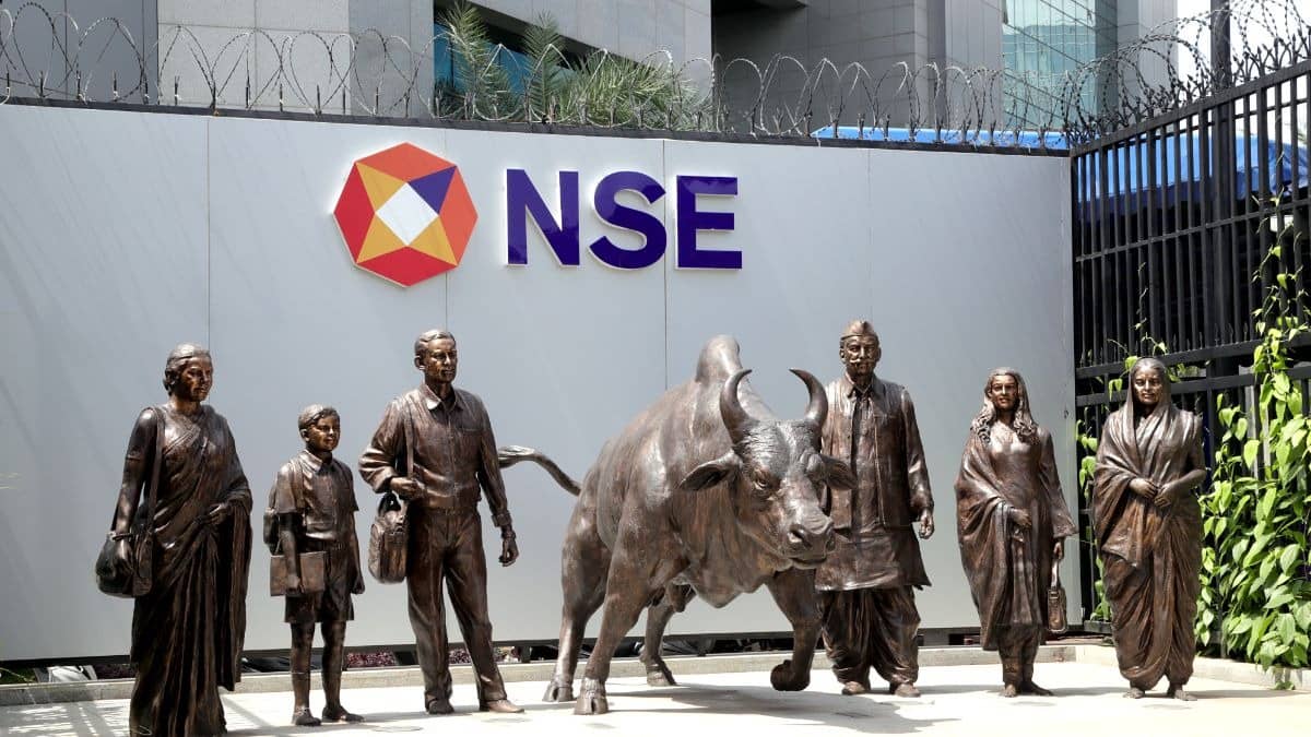 Stock market nse bse bull