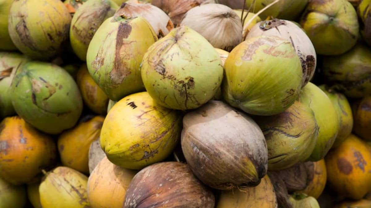 sweet coconut water tips