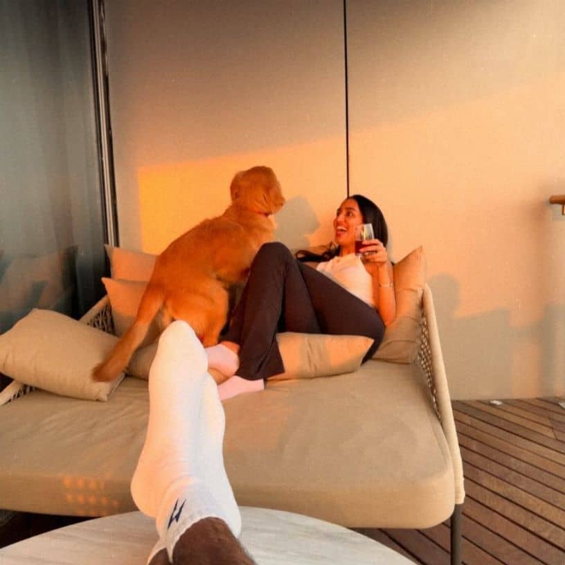 Description of the pic