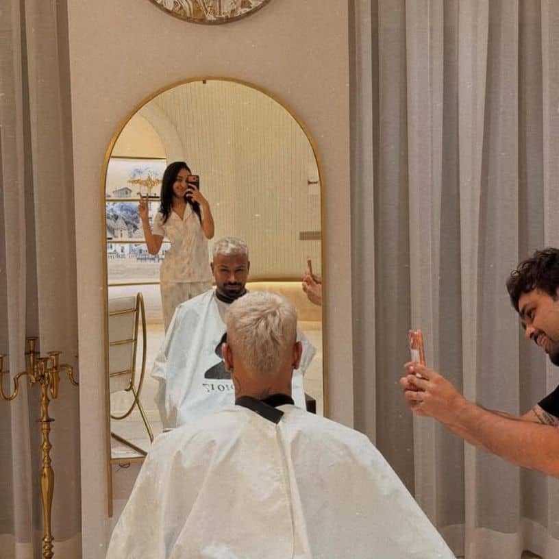 Description of the pic