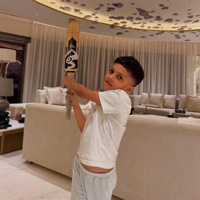 Description of the pic