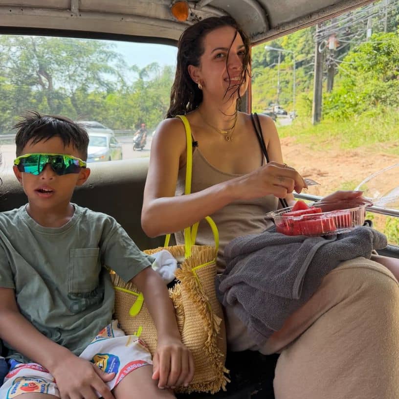 Description of the pic