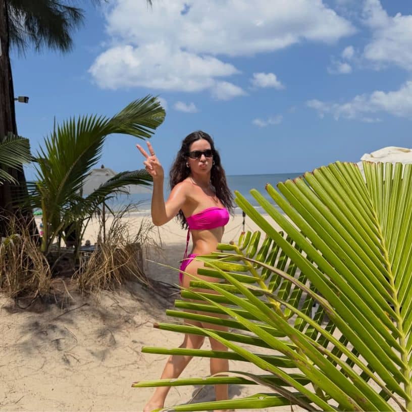 Description of the pic