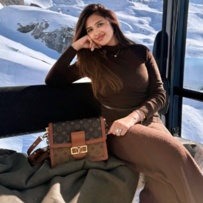 Description of the pic