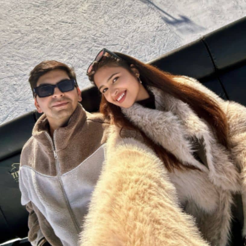 Description of the pic