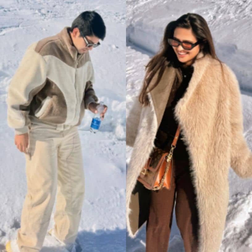 Description of the pic