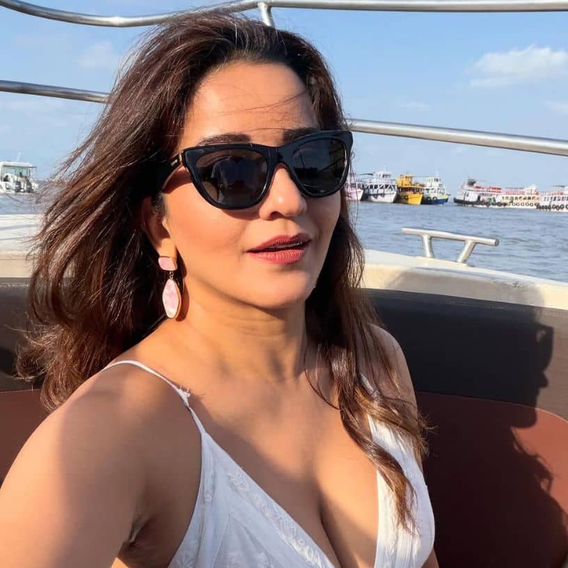 Description of the pic