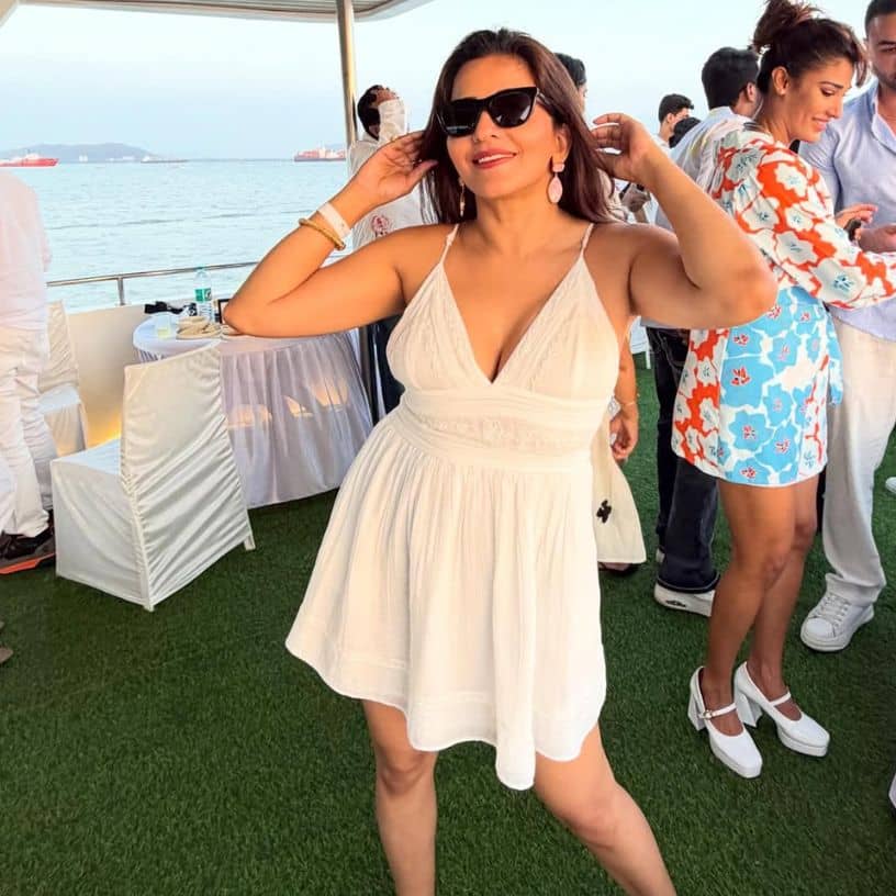 Description of the pic