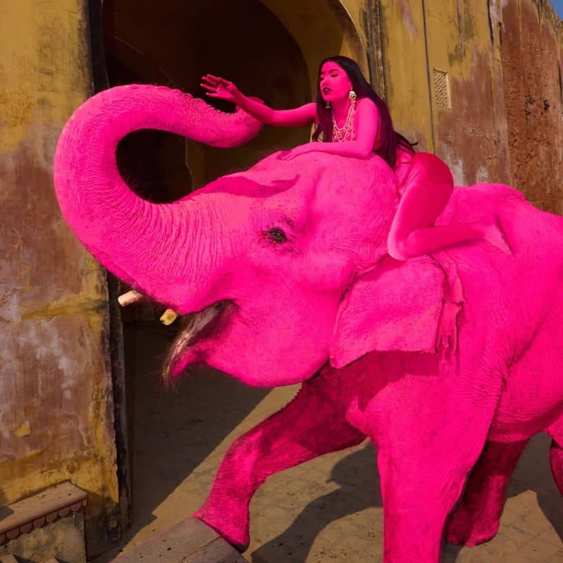 Description of the pic