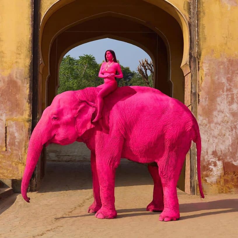 Description of the pic