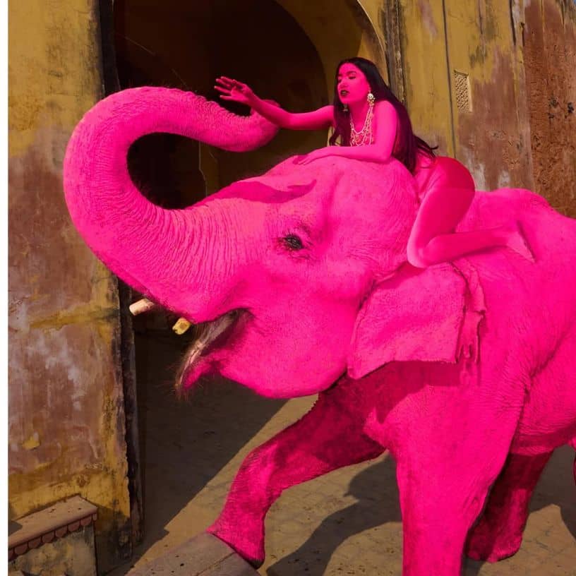 Description of the pic