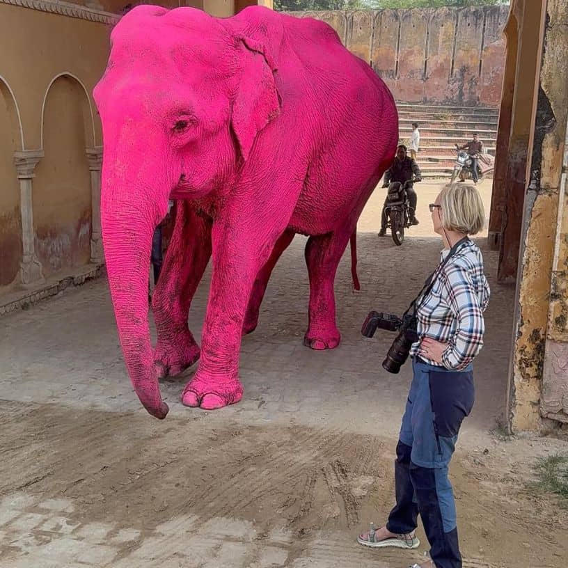 Description of the pic