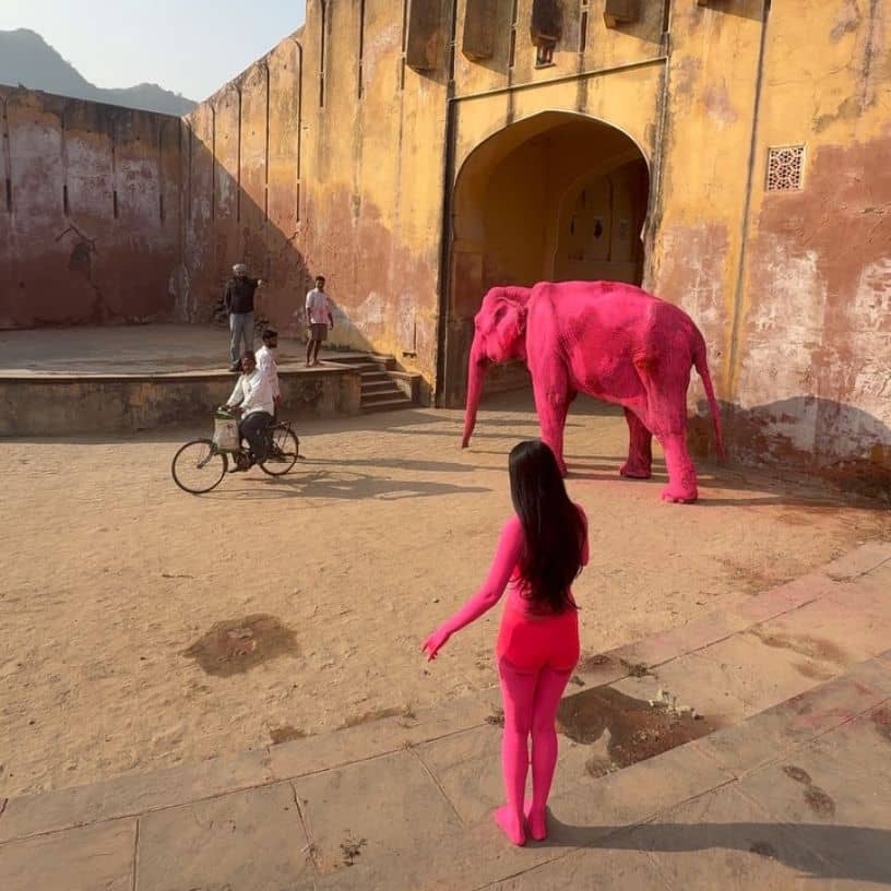 Description of the pic