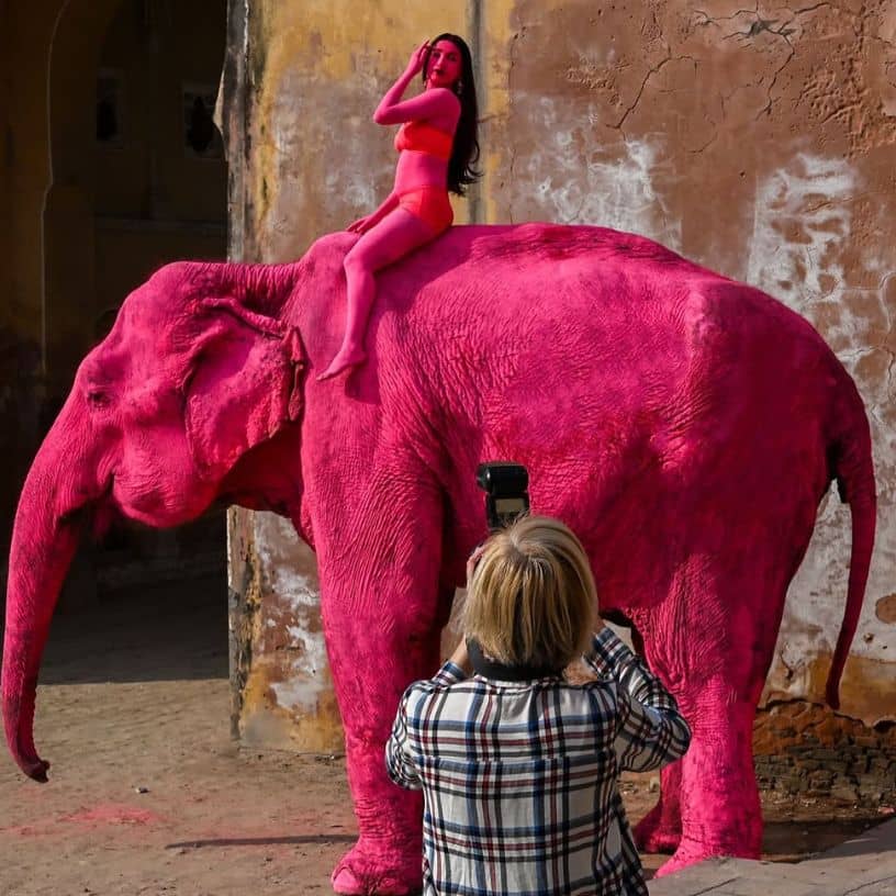 Description of the pic