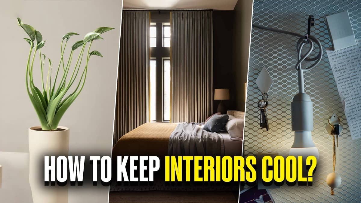Using dark curtains and indoor plants can help keep your house cool in summers