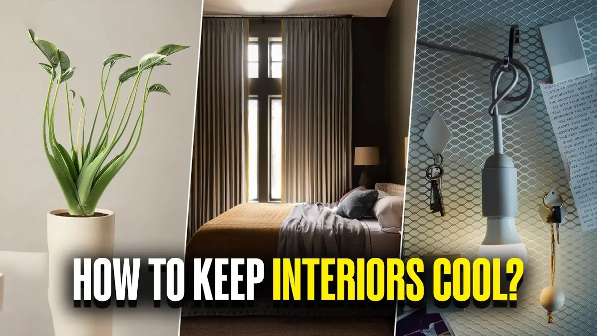 How To Keep Your House Cool During Summers? Using dark curtains and indoor plants can help keep your house cool in summers