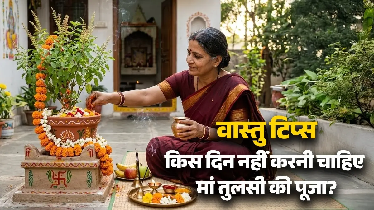 Vastu Tips For Tulsi: किस दिन नहीं करनी चाहिए मां तुलसी की पूजा? एक गलती पड़ सकती है भारी; जानिए क्या हैं वास्तु नियम vastu tips for tulsi aka basil plant at home maa Lakshmi blessings niyam upay dosh