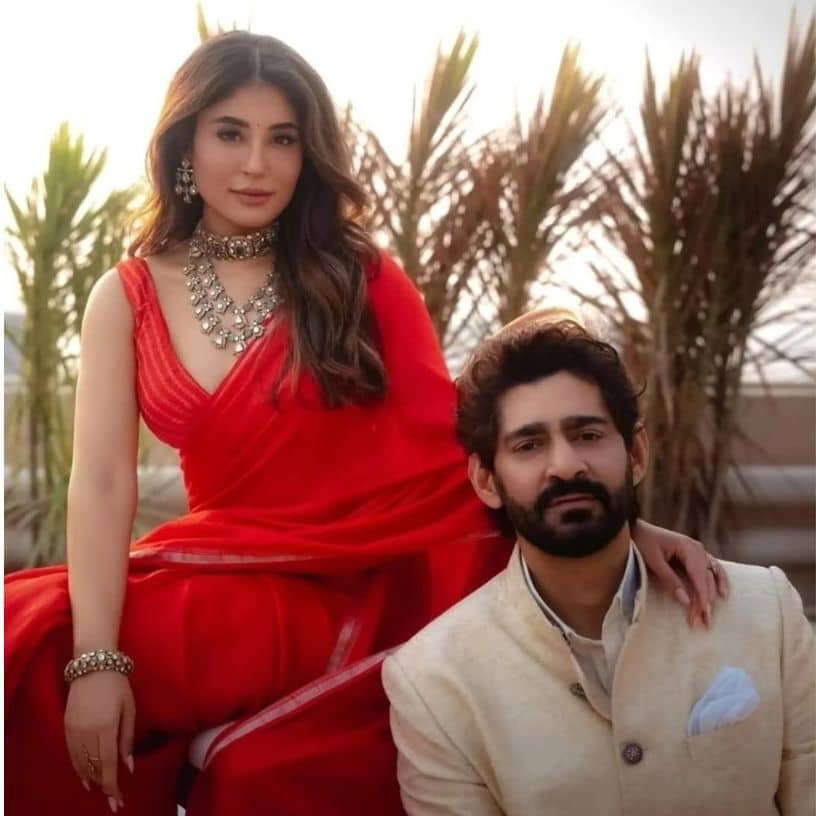 Description of the pic