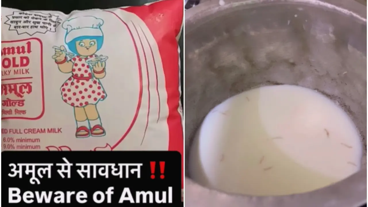 Worms Found In Amul Milk? Company Responds As Video Goes Viral Worms Found In Amul Milk? Company Responds As Video Goes Viral