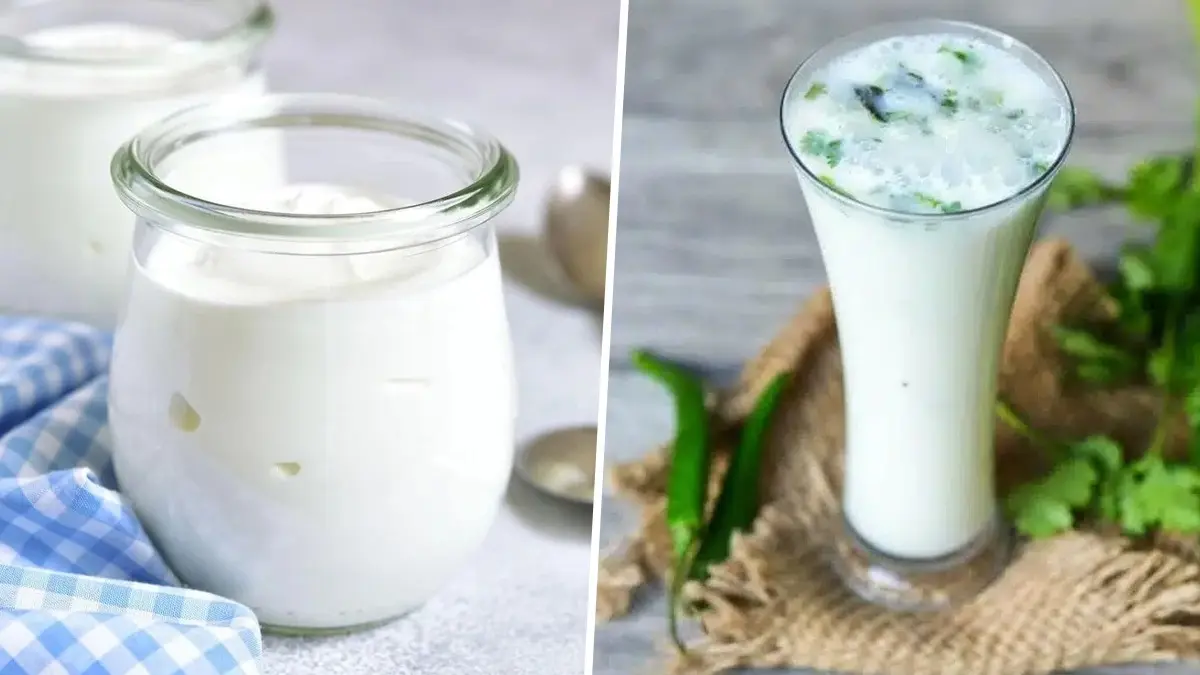 Yogurt Or Buttermilk, Which Is Better For People Feeling Acidity And Constipation? Yogurt and yogurt based products cool the body in summer