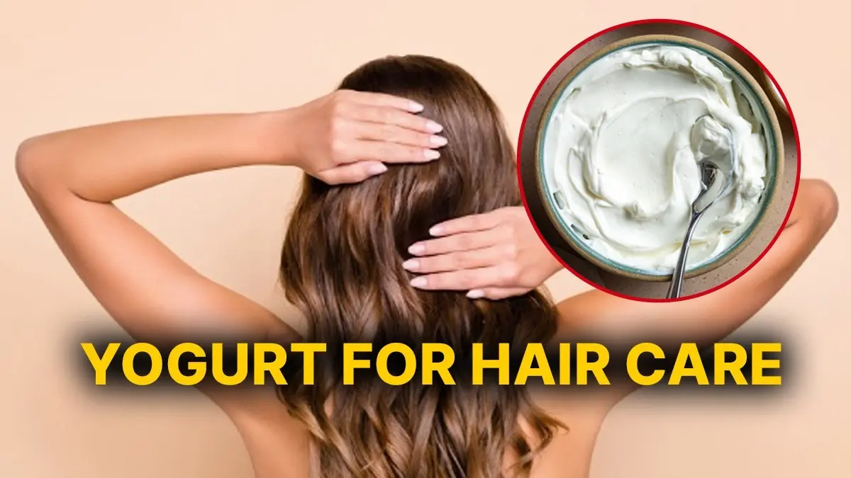 Here's How Yogurt Can Benefit Your Hair And Scalp - Know The Right Way To Use It Yogurt nourishes hair roots and scalp