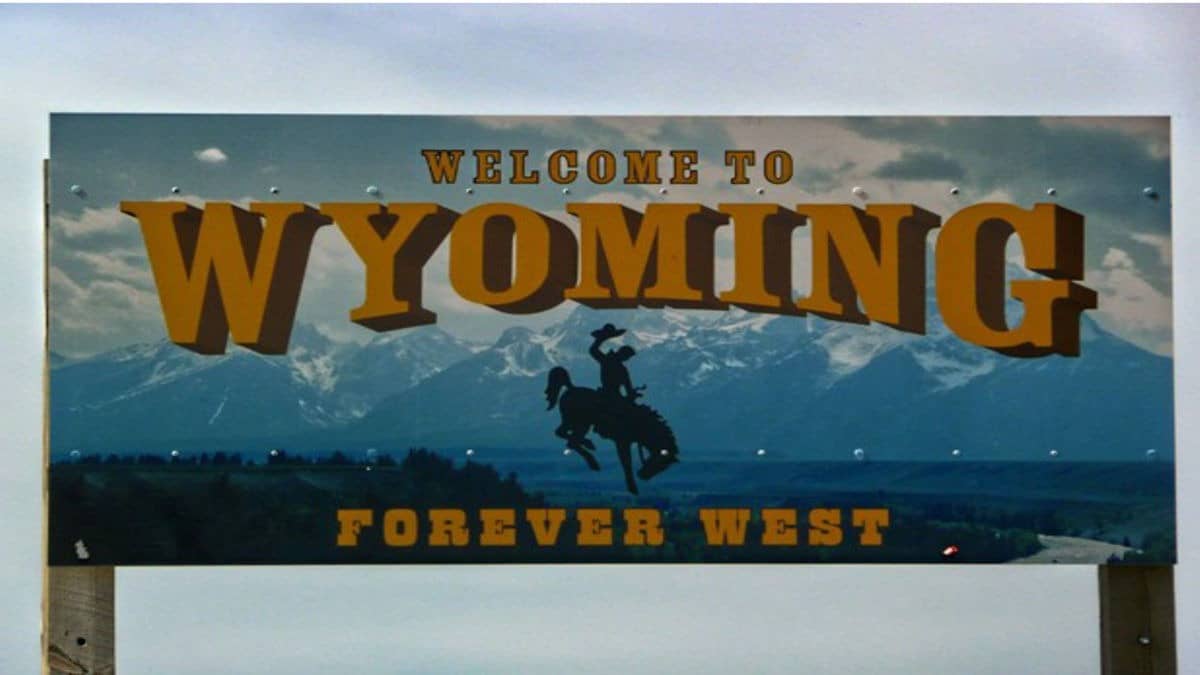 Your Wyoming LLC Is an Overseas Investment. Most Indian Founders Have No Idea What the RBI Requires.