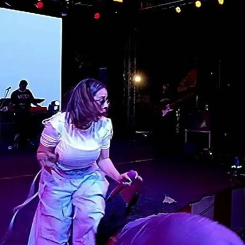 Description of the pic