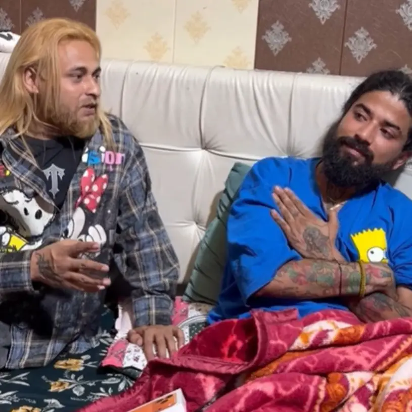 Description of the pic