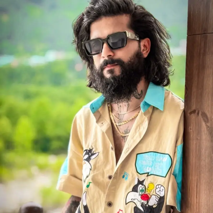 Description of the pic