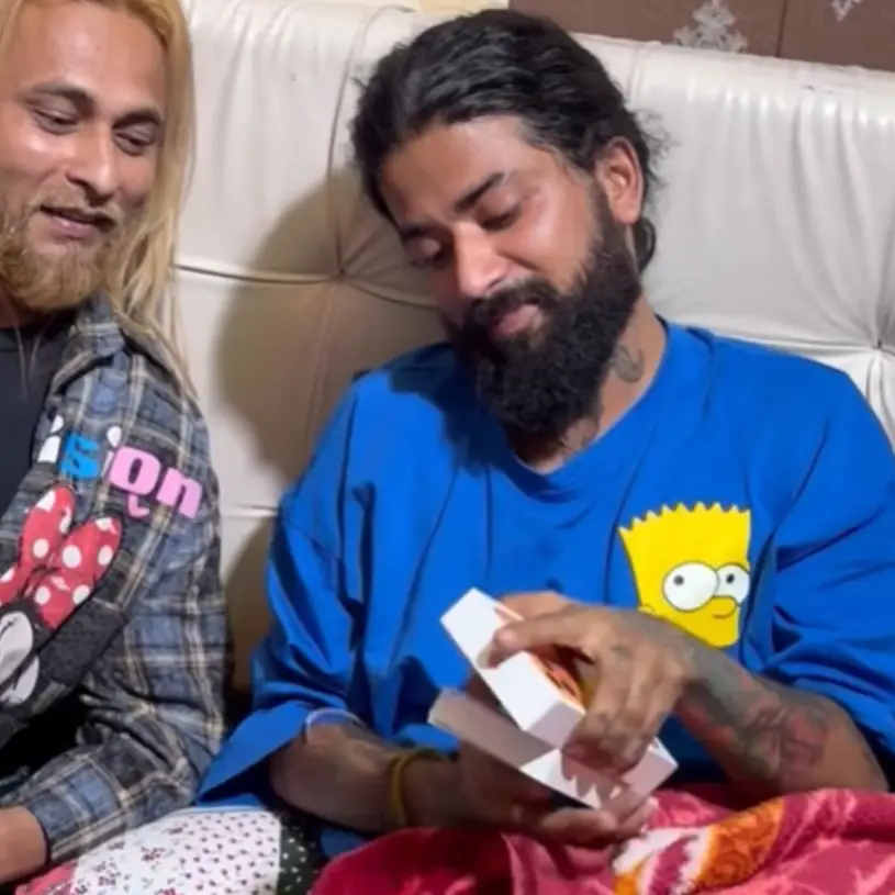 Description of the pic