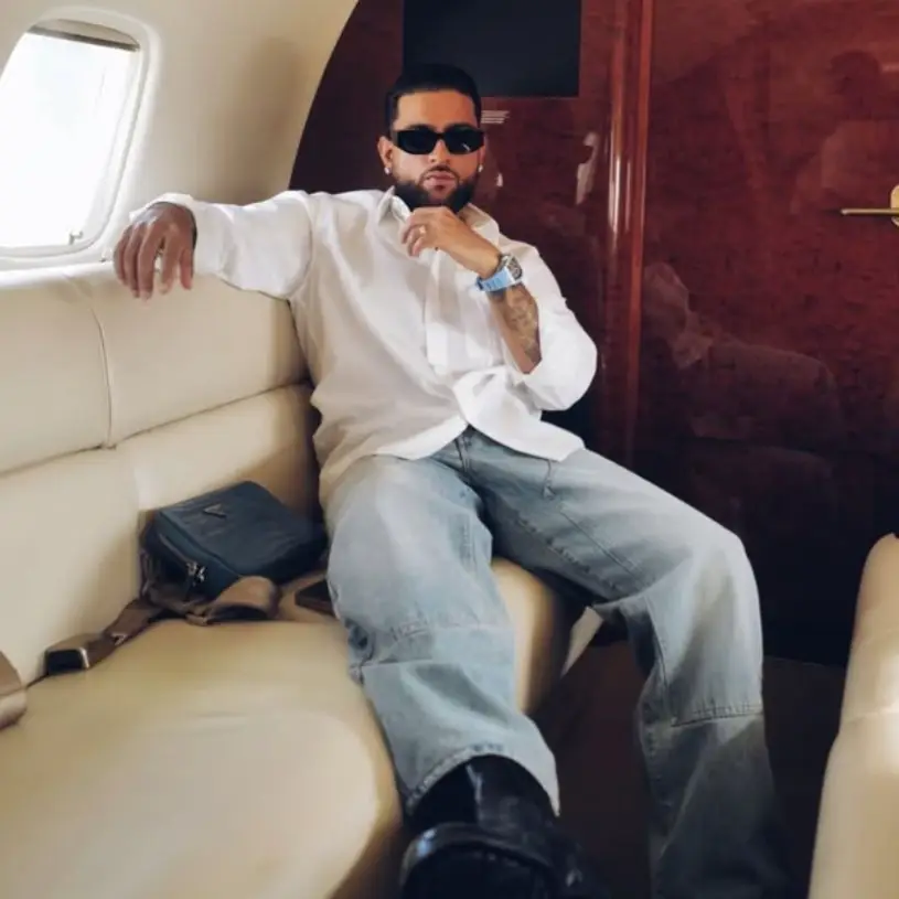 Description of the pic