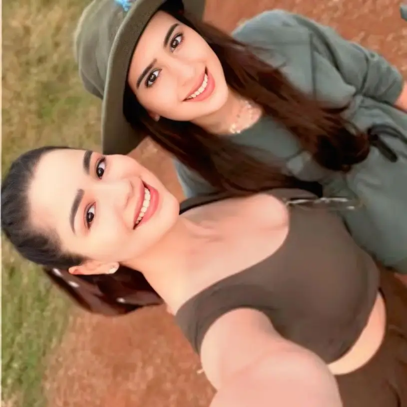 Description of the pic