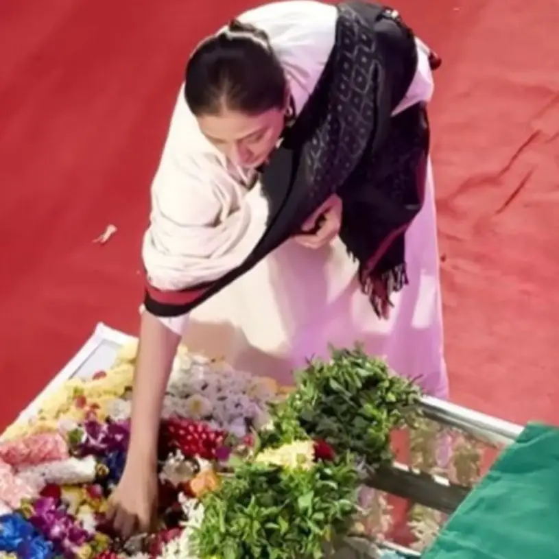 Description of the pic