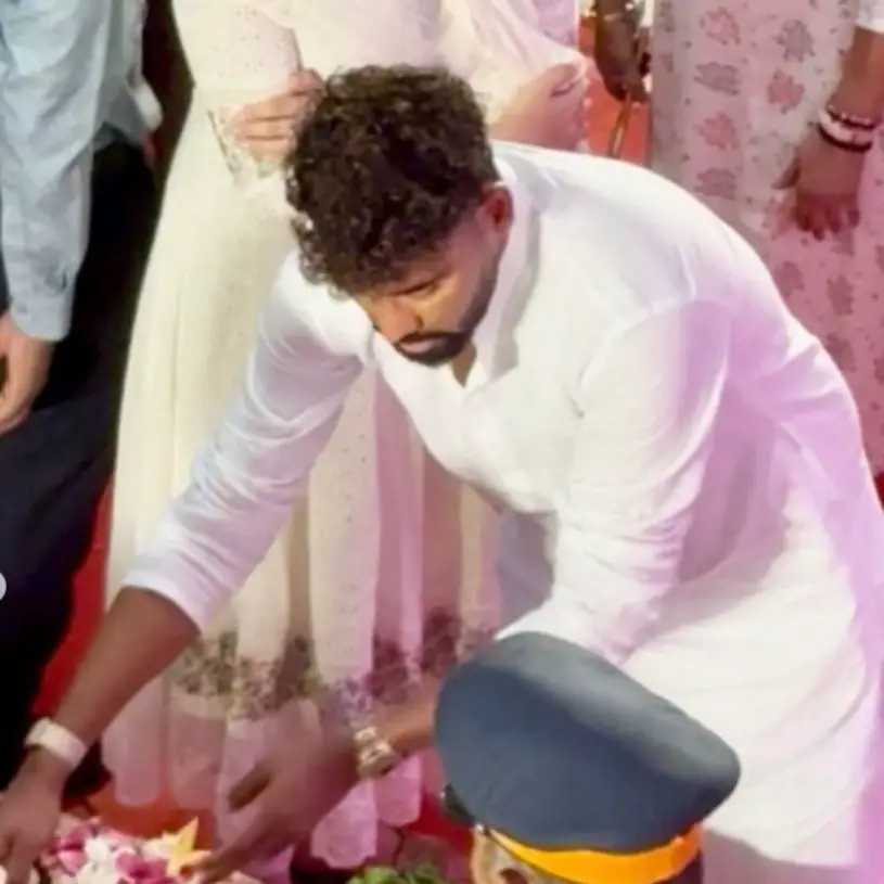 Description of the pic