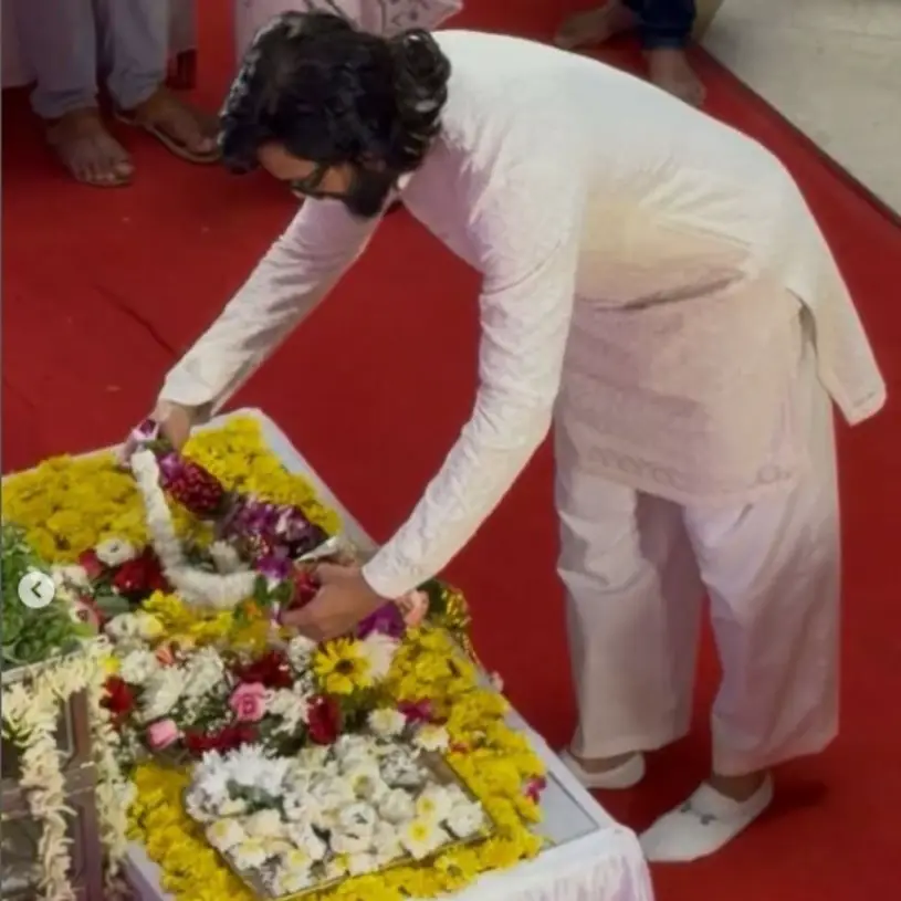 Description of the pic