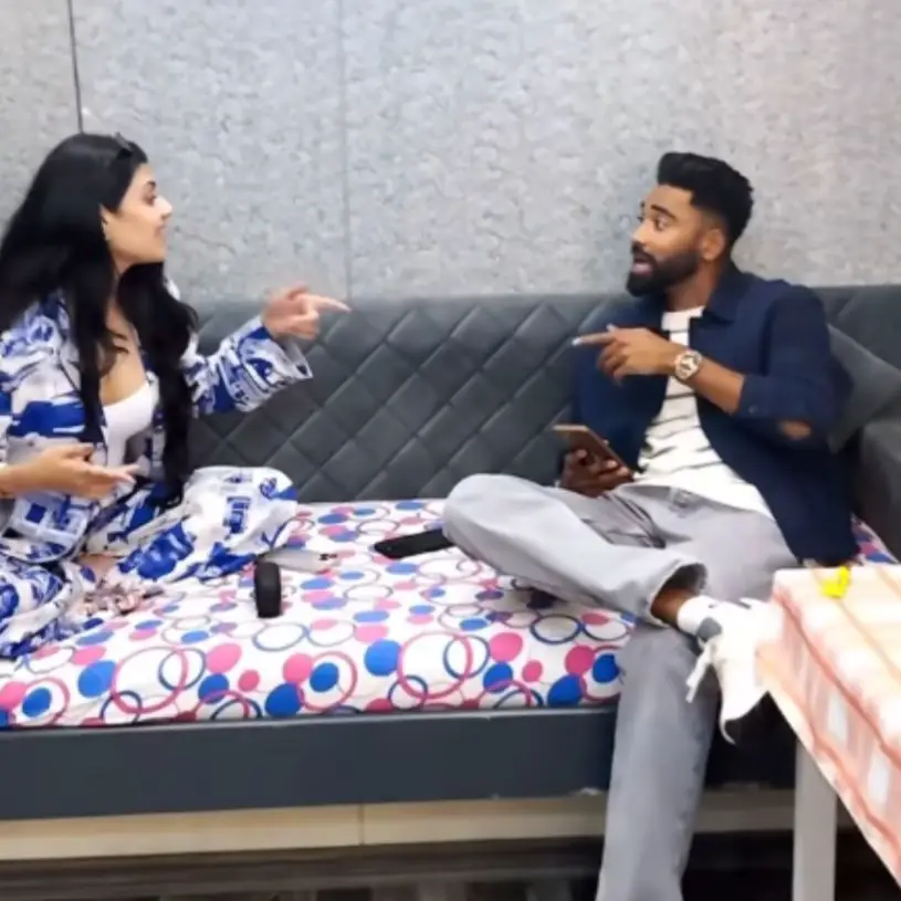 Description of the pic