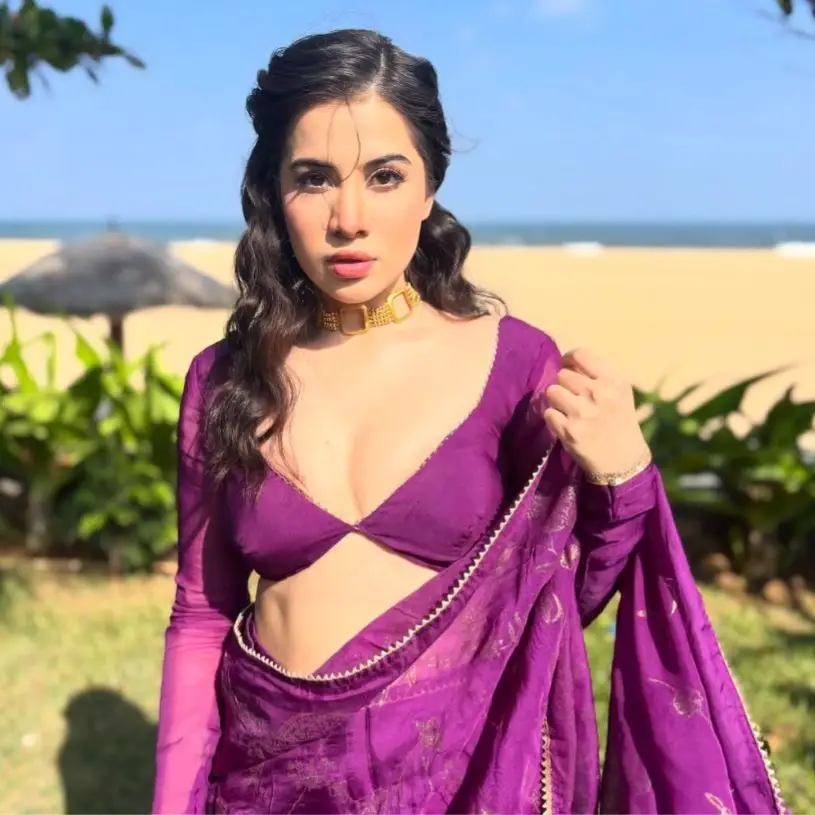 Description of the pic