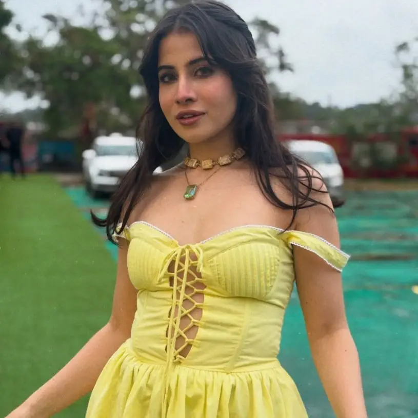 Description of the pic